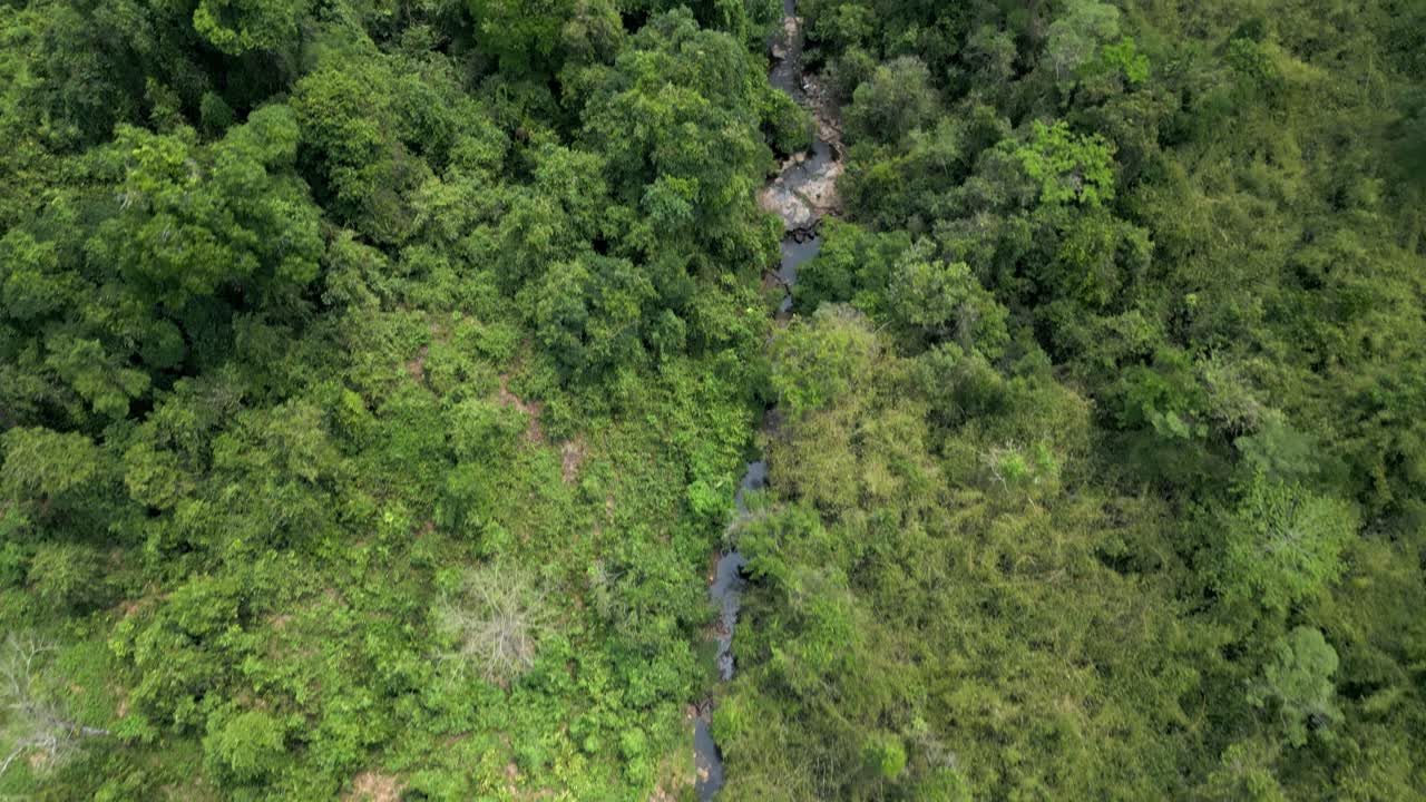 Small river seen from above as it cuts it’s way trough a dense rainforest.