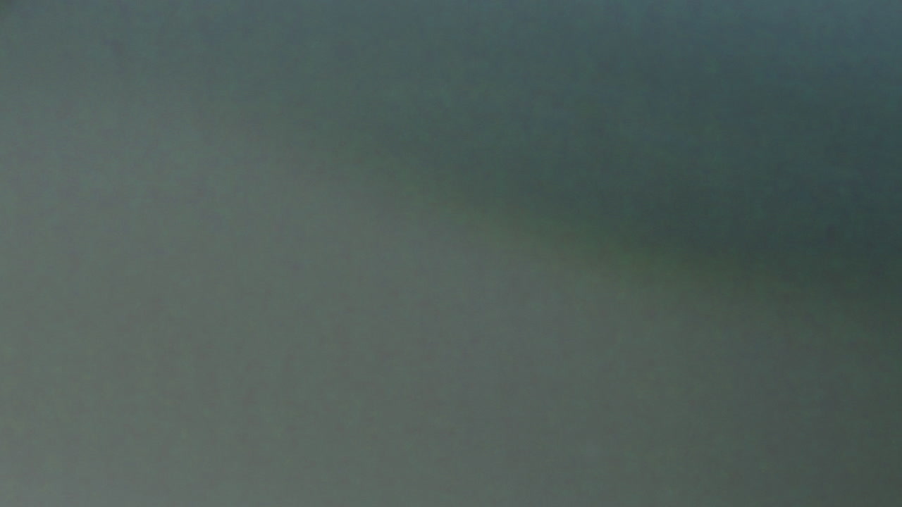Dynamic Light Leak Transition Overlay