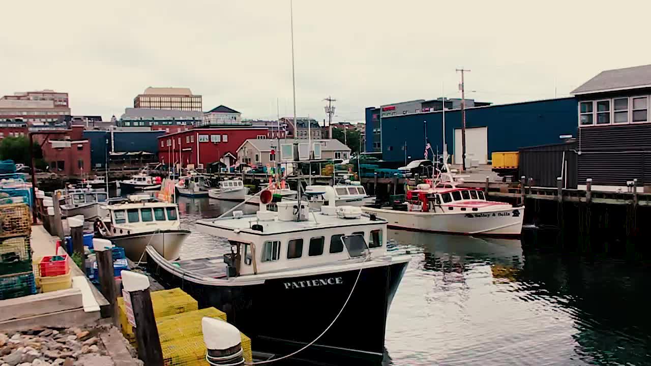 Lobster boats seeking safe harbor in Portland, Maine with buildings in the background