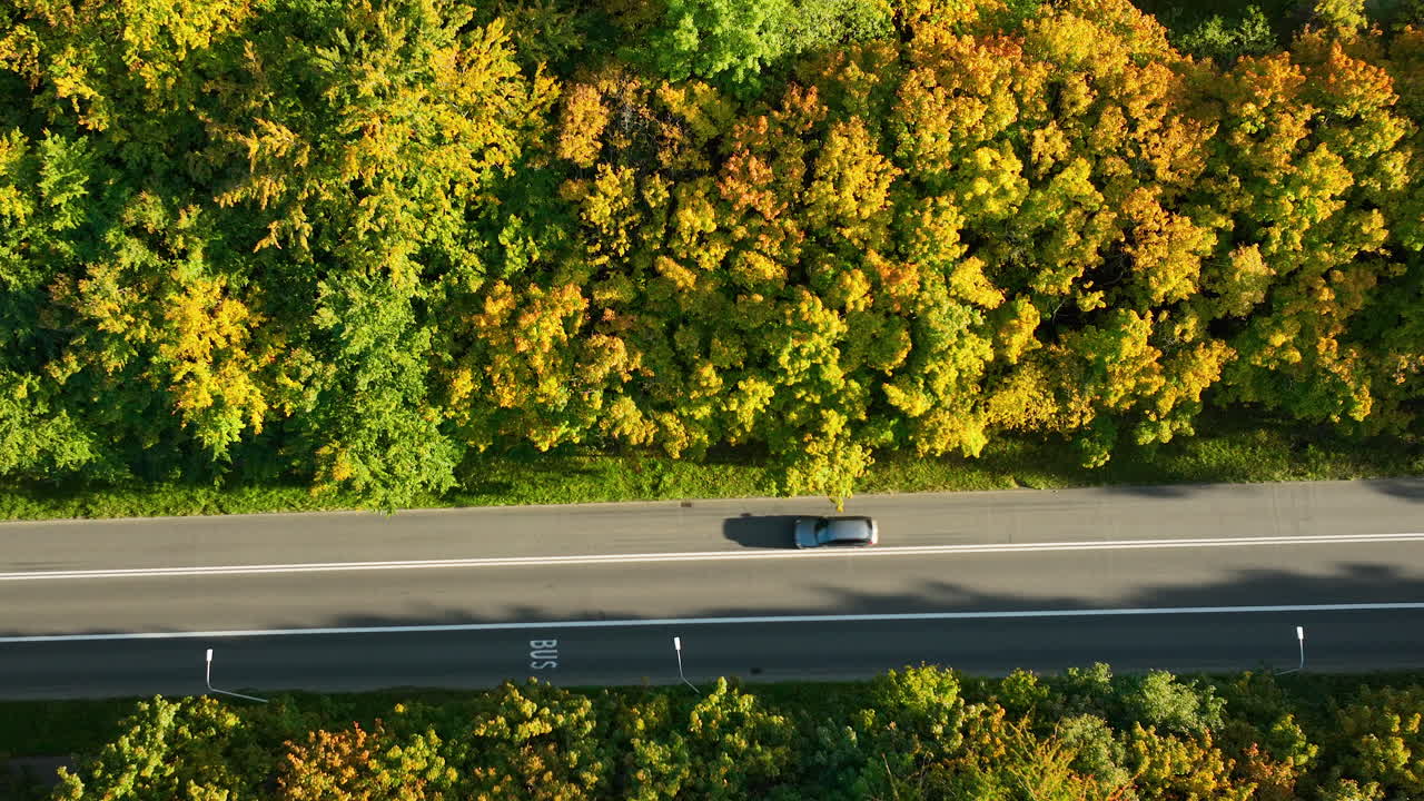 가을 숲 을 가로질러 가는 도로 의 공중 사진