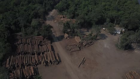 enorme operación maderera en la selva amazónica brasileña - sobrevuelo aéreo