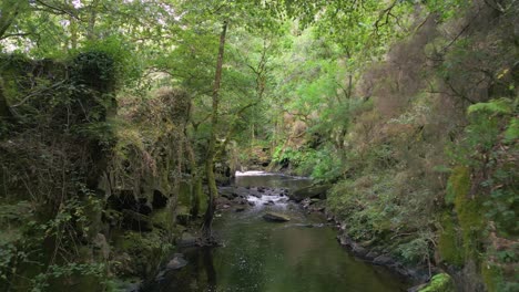 bosque y arroyo que fluye desde el río de anllóns en refugio de verdes en coristanco, una coruña, españa