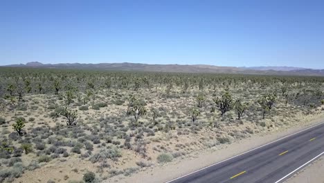 Empty-black-road-with-yellow-stripes-through-cacti-field