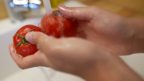lavado de tomates bajo agua corriente