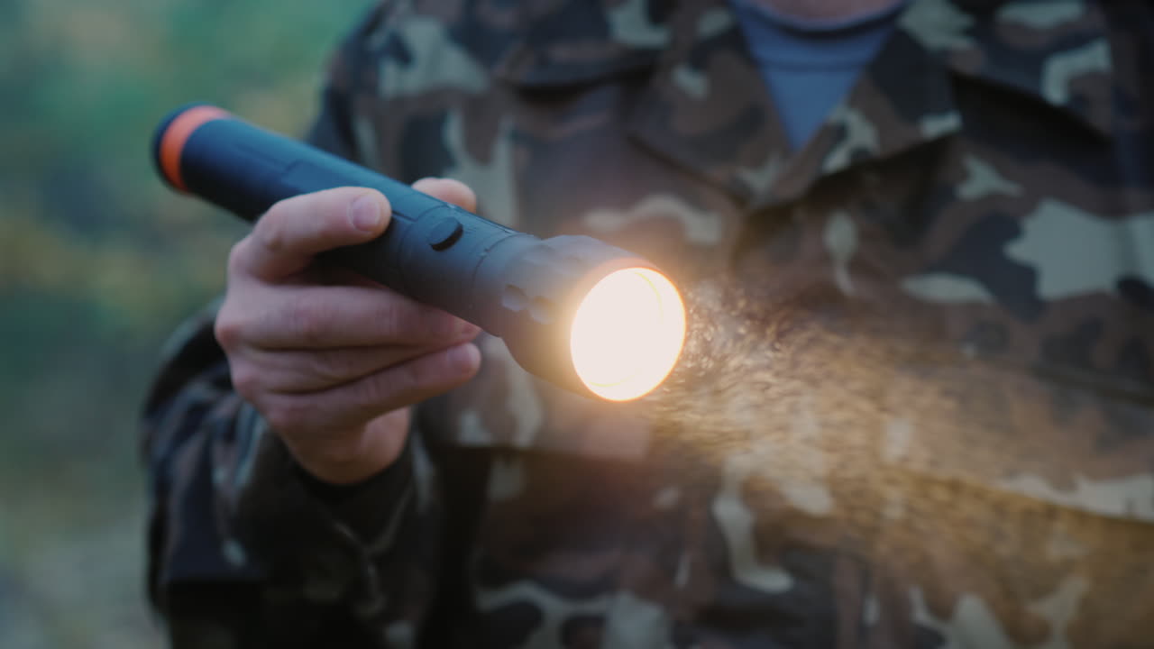 손전등을 든 손이 숲의 길을 비추고 있다 안개 방울이 광선에 보인다