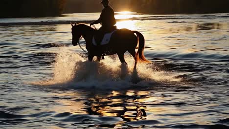 woman horseback riding in a river at sunset