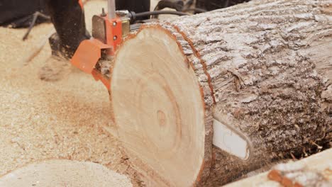 Woodcutter-saws-tree-with-electric-chain-saw-on-sawmill.-Chainsaw-used-in-activities-such-as-tree-felling,-pruning,-cutting-firebreaks-in-wildland-fire-suppression,-and-harvesting-of-firewood.