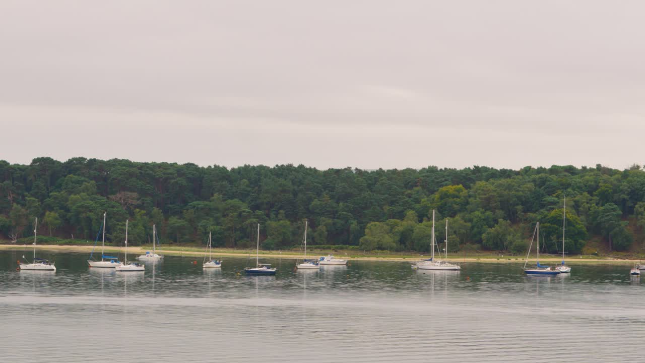 barcos de vela de fin de semana amarrados con árboles por encima de la playa con mar tranquilo cerca de poole, dorset, reino unido