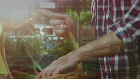 animación del procesamiento de datos financieros y estadísticas sobre hombres y mujeres en la tienda.