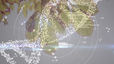 animation of 3d dna strand spinning and molecules floating over tree