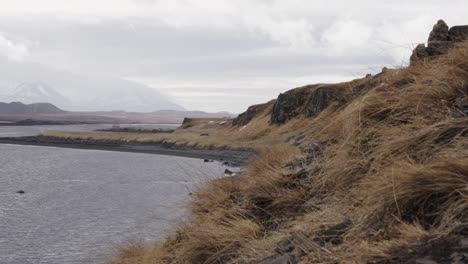vista de arriba desde el acantilado de la costa en la playa de arena negra durante un día de viento, islandia