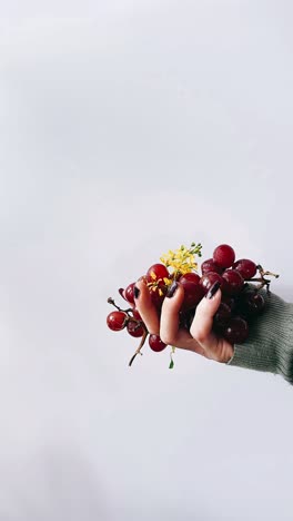 hand holding grapes