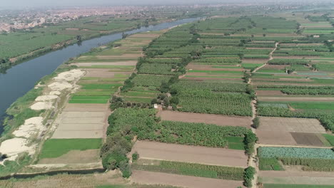 el río nilo de egipto rodeado de las tierras verdes del valle del nilo