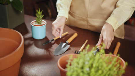 woman gardening with tools and plants