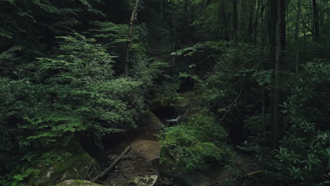 drone passes overhead as man crosses small bridge over creek in green forest, 4k