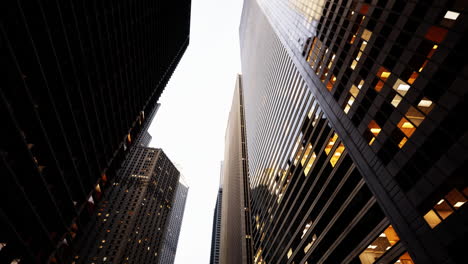 looking up at towering skyscrapers in a modern city