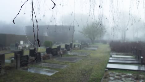 foggy cemetery landscape