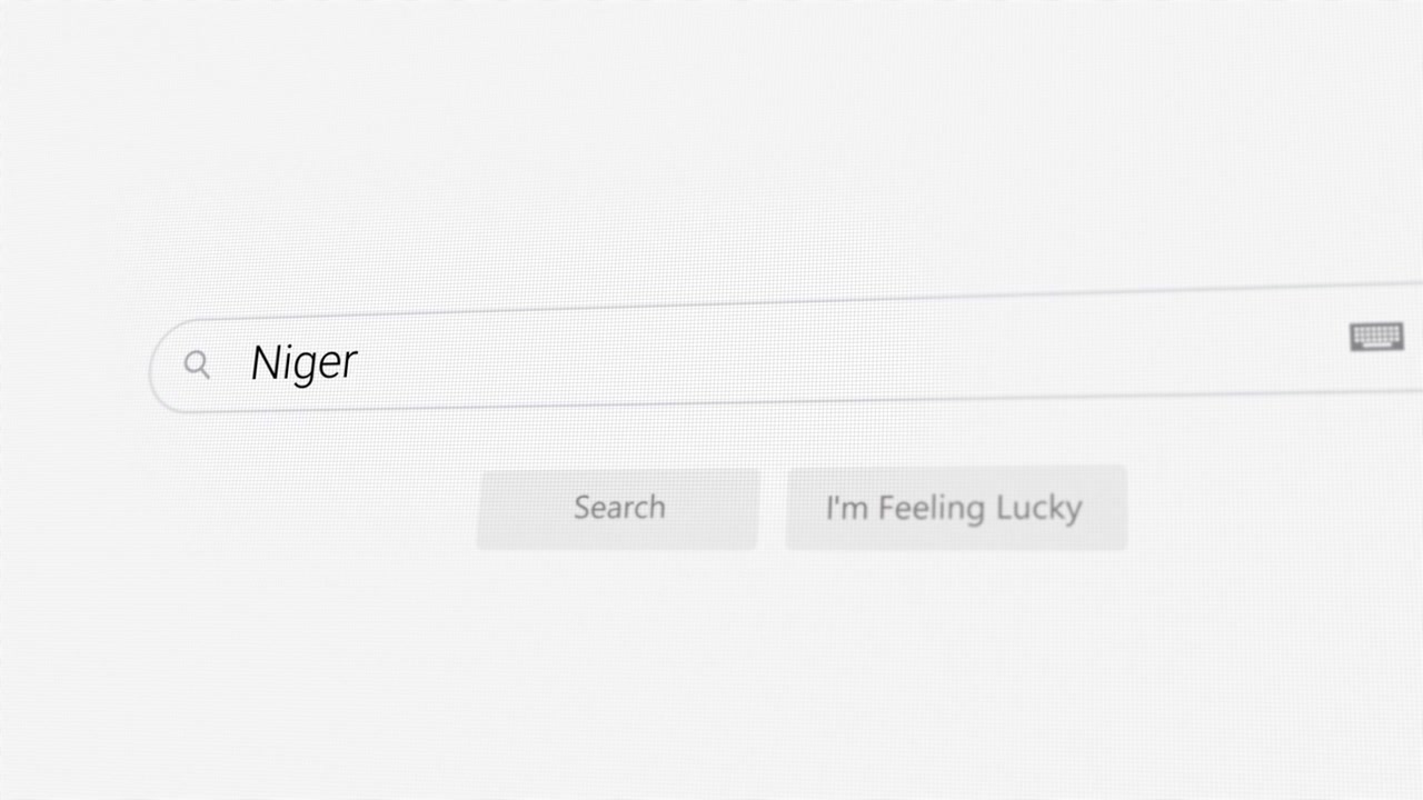 Ricerca del Niger sul browser Internet