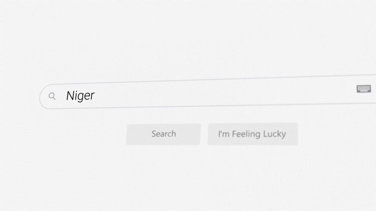 Ricerca del Niger sul browser Internet