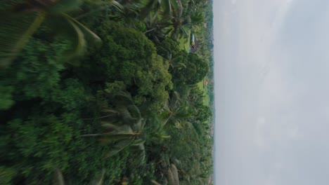 disparo vertical campos de arroz de bali, campos de arroz, vuelo rápido de drones de fpv de las terrazas de arroz de bali en ubud