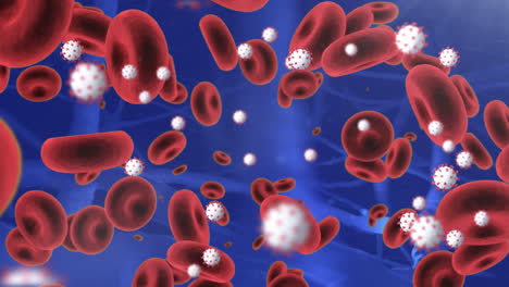 animation of covid 19 cells and red blood cells floating over blue background