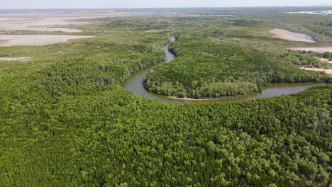 High-Aerial-drone-shot-of-swampy-water-and-Bushland-near-Lee-Point-in-Darwin,-Northern-Territory