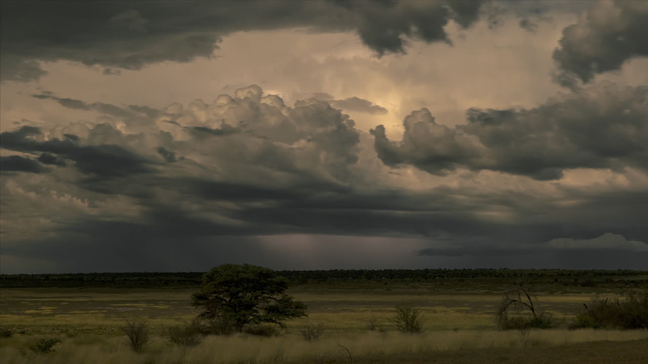 tormenta dramática con relámpagos sobre el campo en mabuasehube, parque transfronterizo kgalagadi en botswana
