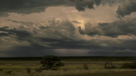 dramatic thunderstorm with lightning over field in mabuasehube, kgalagadi transfrontier park in botswana