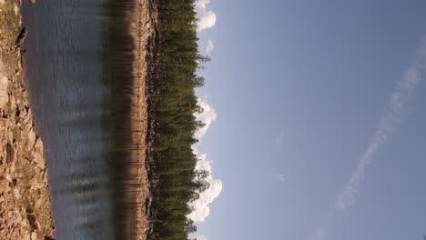 tiro vertical de la orilla del río en sauce primavera