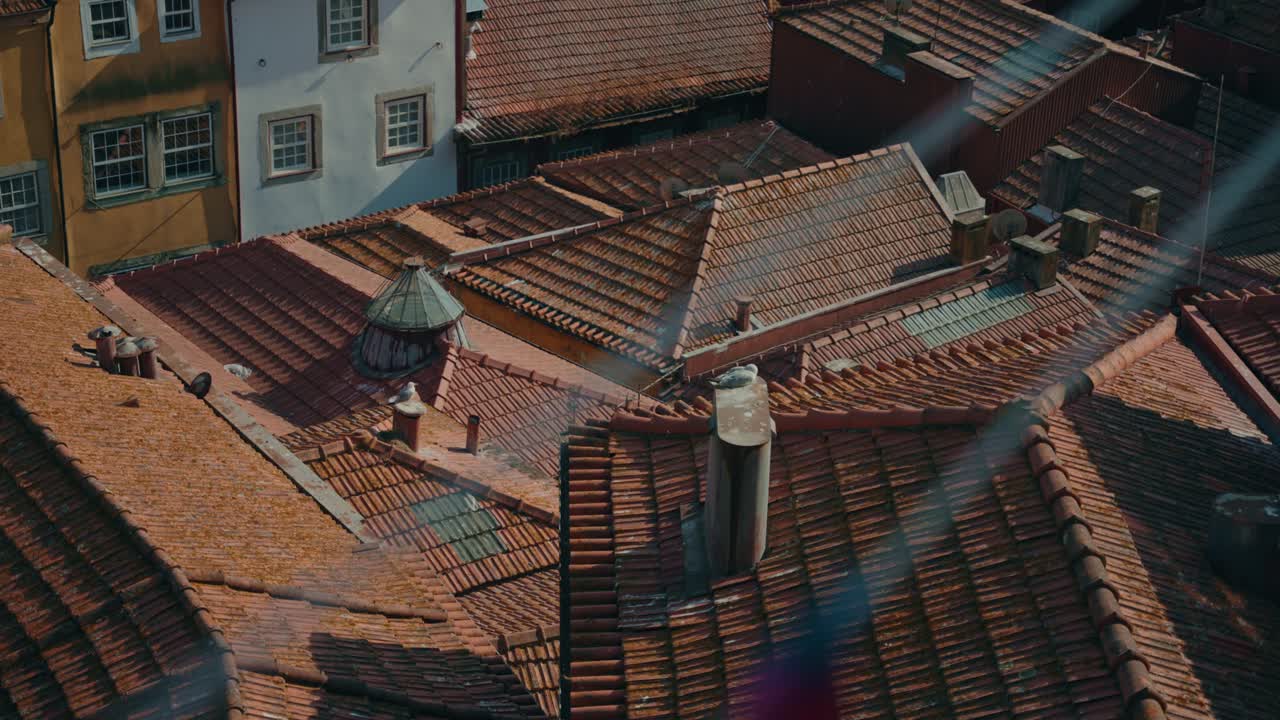 Close view of traditional Porto rooftops with warm terracotta tiles