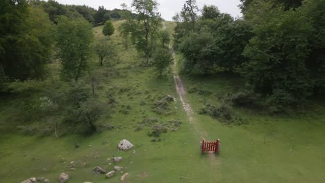 Wanderweg-Auf-Einem-Kleinen-Hügel-Mit-Wald