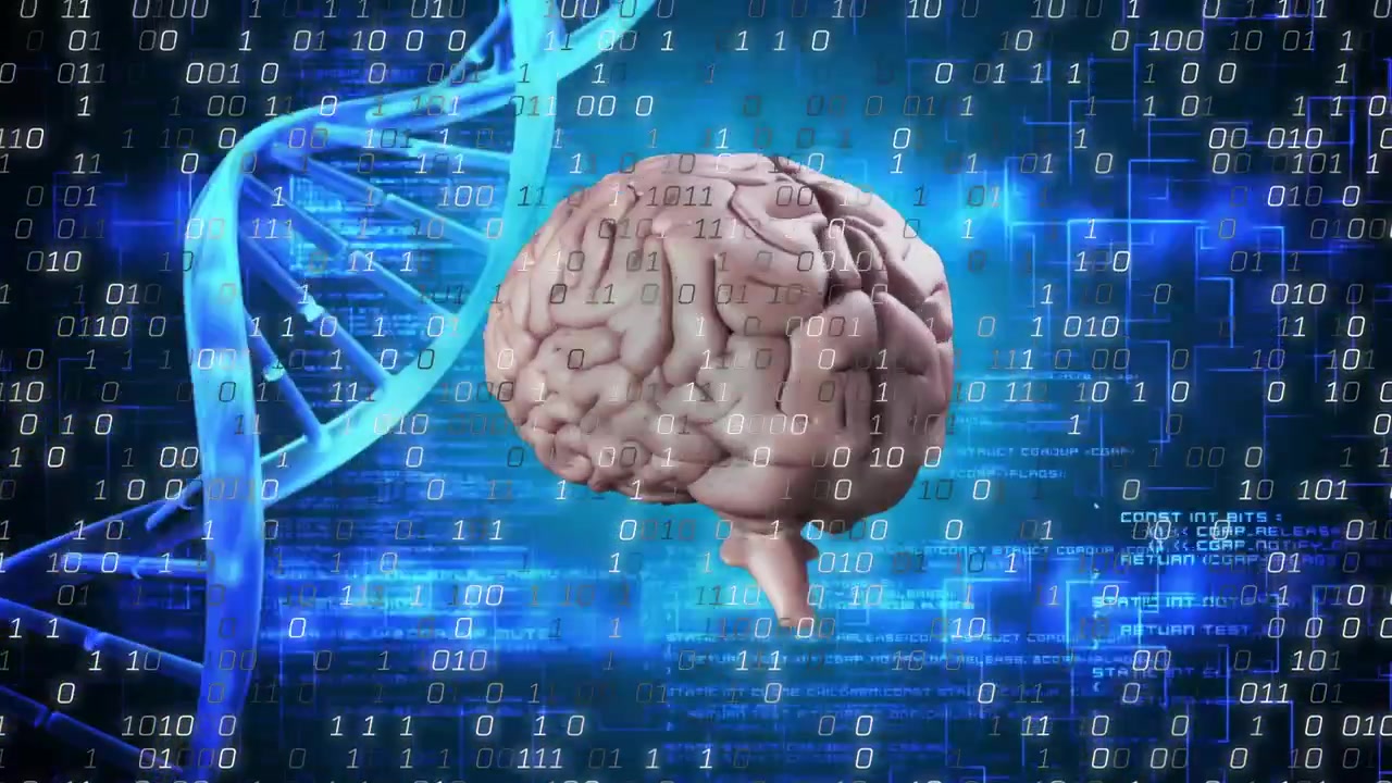 Brain model materializing, rotating right, binary drifting and code filling frame for visualization