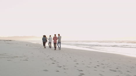 vista trasera de amigos caminando juntos por la playa de invierno