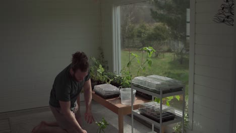 Hombre-Arreglando-Sus-Plantas-De-Interior-En-Casa---Ancho