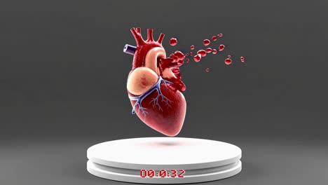 animated heart and its function