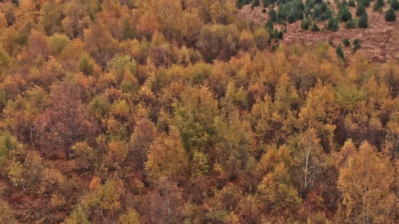 Fall colors in Georgia's Caucasus region during sunset