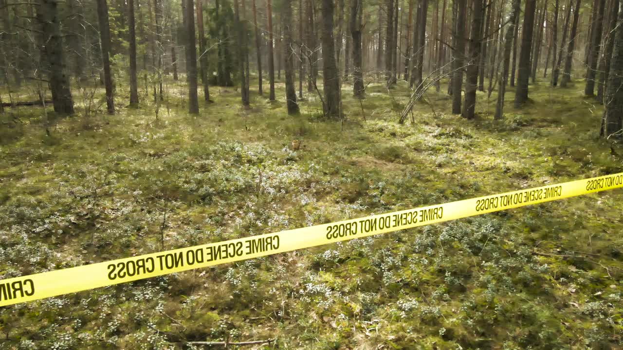 Il nastro giallo della polizia "Scena del crimine non oltrepassare" è teso tra gli alberi, delimitando un'area in una pineta muschiosa durante un'indagine per omicidio, limitando l'accesso alla zona transennata