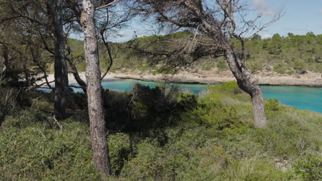 Idílica-Cala-De-Playa-En-Cala-Mondrago,-Mallorca-Enmarcada-Por-Hermosos-Pinos