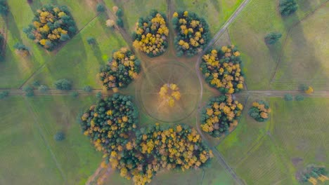 aerial view of the rotation of the camera over a group of trees in an autumn park with hiking trails, sunlight and forest shadows