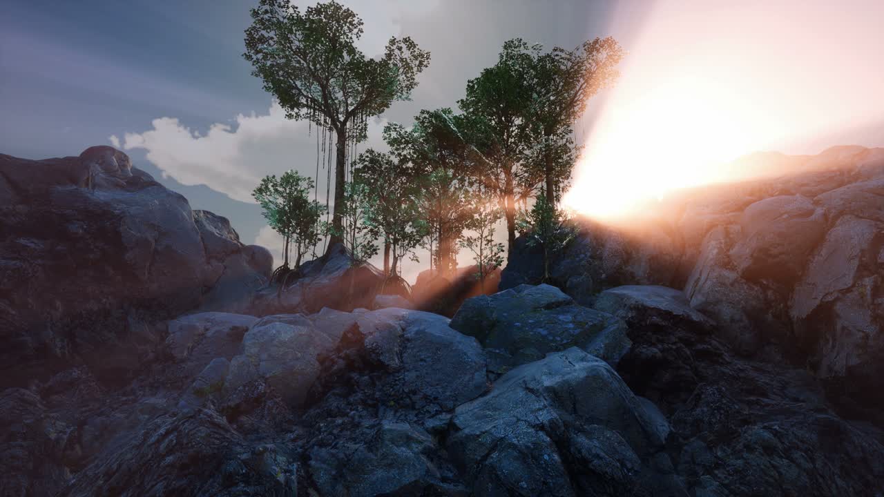 rayos de sol a través de los árboles