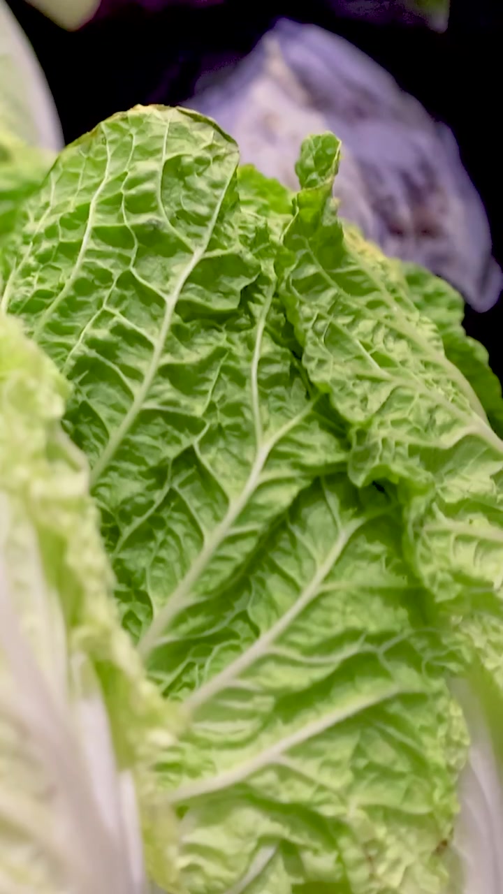 Vibrant red cabbage and lettuce displayed under bright lighting in a Gold Coast supermarket. Close-up shots highlight texture and color