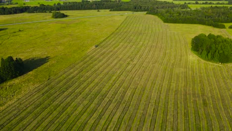 gorgeous aerial drone hyperlapse footage of a tractor cutting tall reeds and grass during a sunny day in countryside farmfield. preparation for making hay bales, green trees around, traffic visible
