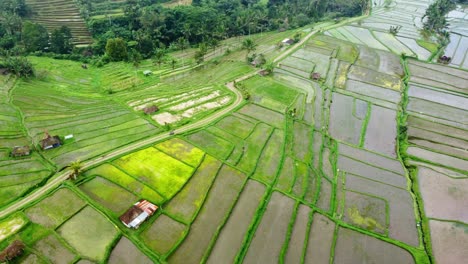 Aerial-4K-Drone-Footage:-Bike-driving-through-Green-Jatiluwih-Rice-Terraces-UNESCO,-Ubud,-Bali