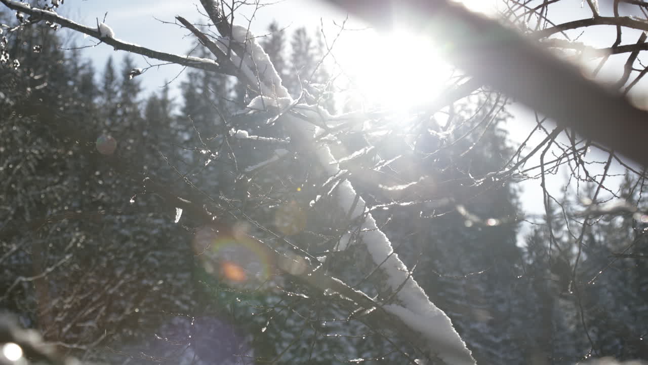 Close-up of melting ice stalactites in Gstaad, Switzerland, with sunlight shining through as water drips gently from the snow, creating a sparkling and serene winter scene