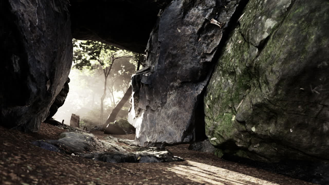 숲의 동굴을 가로지르는 신비한 길