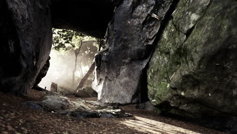 un camino misterioso a través de una cueva del bosque
