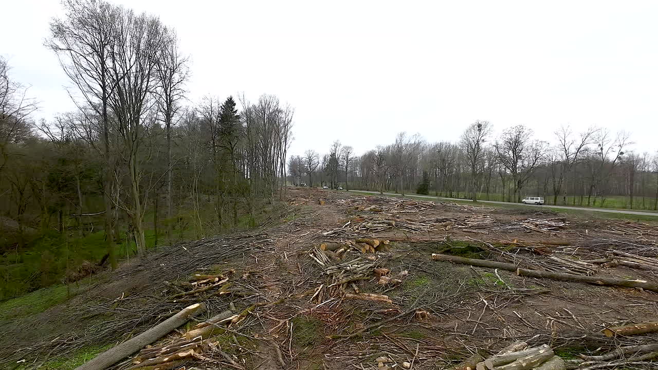Aerial View Of Destroyed Forest Due To Logging - Deforestation Concept