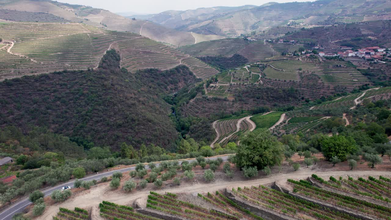 Strada attorno ai terrazzamenti di vigneti sopra la campagna della valle del Douro, Portogallo