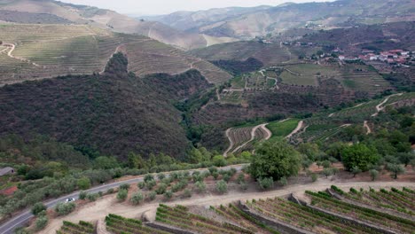 road around vineyard terraces above douro valley countryside, portugal