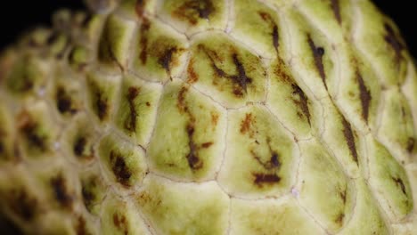 primer plano de la manzana de crema siendo cortada en rodajas
